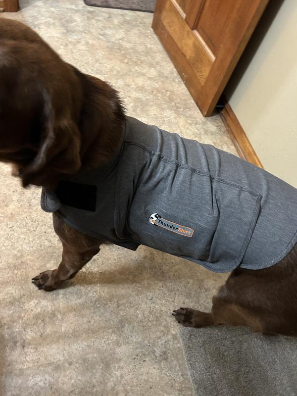 ThunderShirt Classic Anxiety & Calming Vest for Dogs, Heather Grey & ThunderWunders Melatonin Calming Dog Chews