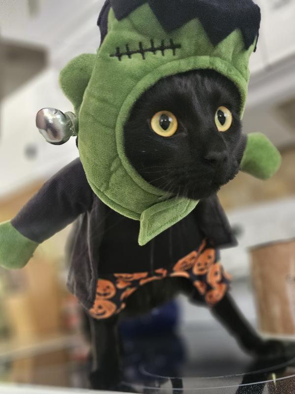 Frisco Front Walking Reanimated Monster with Adjustable Inseam Dog & Cat Costume (Patent Pending)