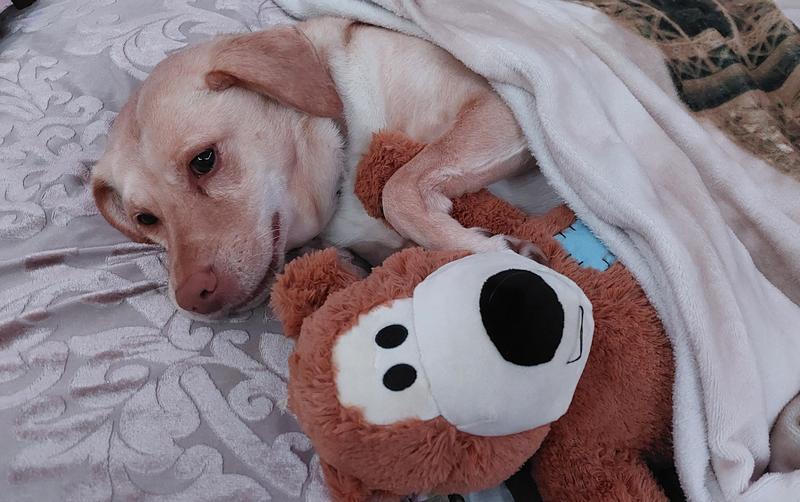 Bedtime