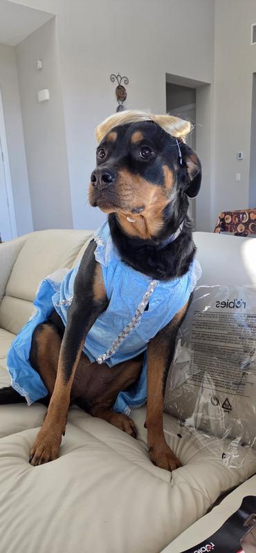 Liked the full chest coverage