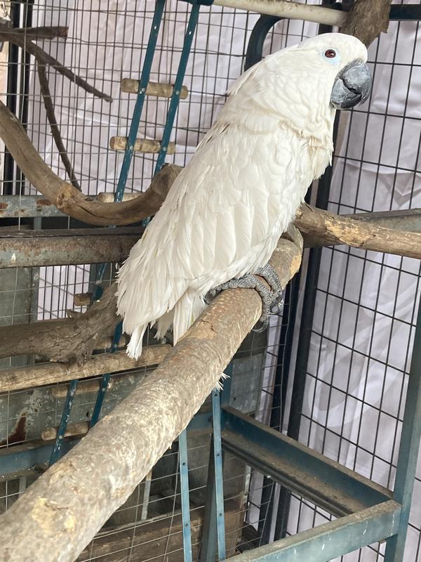 Boring, give me my munchies