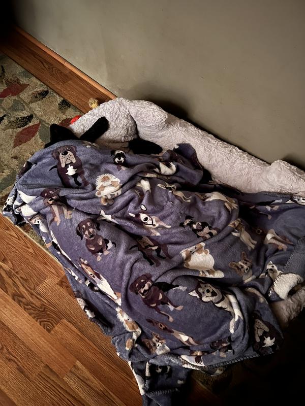 Snug As A Bug In A Rug