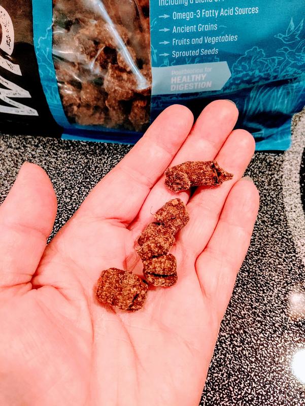 Great Size Chewy Bites