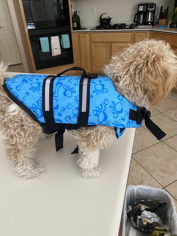 Getting ready to go in the pool