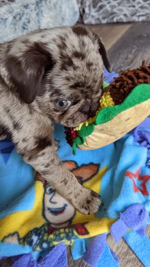 Everyday is Taco Tuesday!