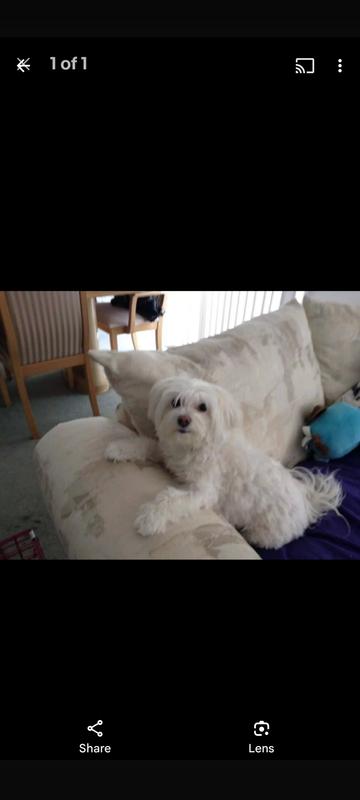 C.C was back to being her happier self.,❤️‍🩹