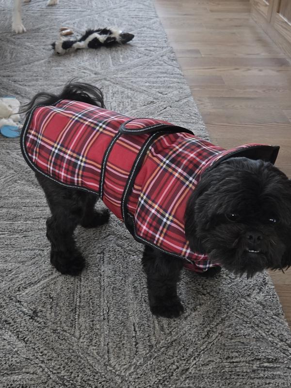 Ready for more snow!