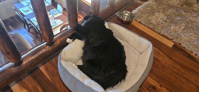 He feels so soft now!