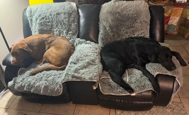 Good size for X-large dogs