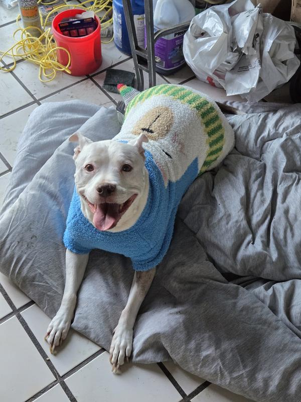 Lookit dis cutie pie