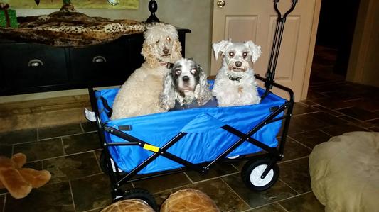 my crew