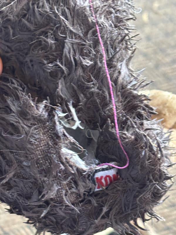 Disappointed in this Kong product