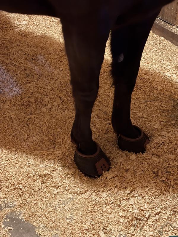 Look good, Comfortable & they stay on