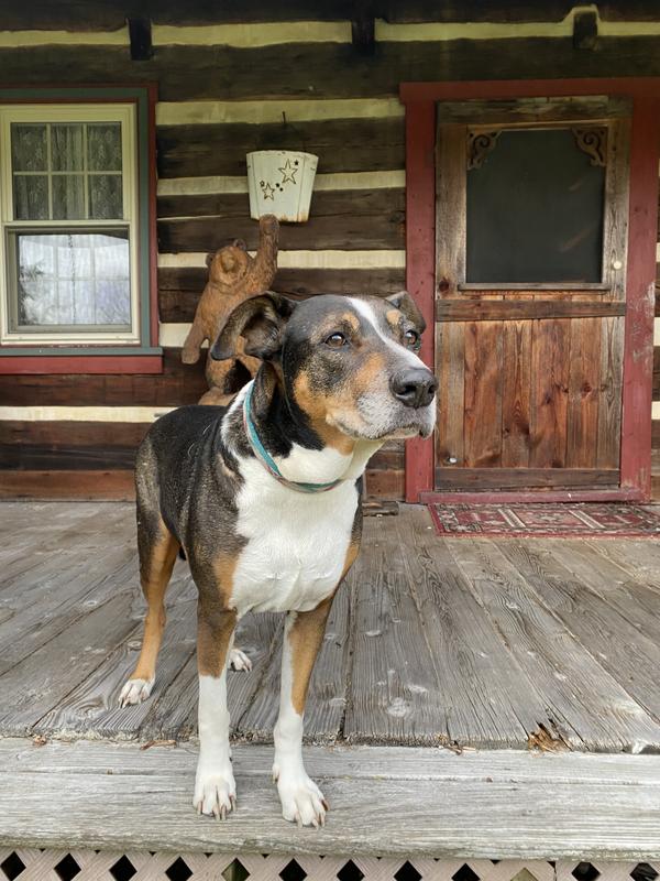 Milo living his best life