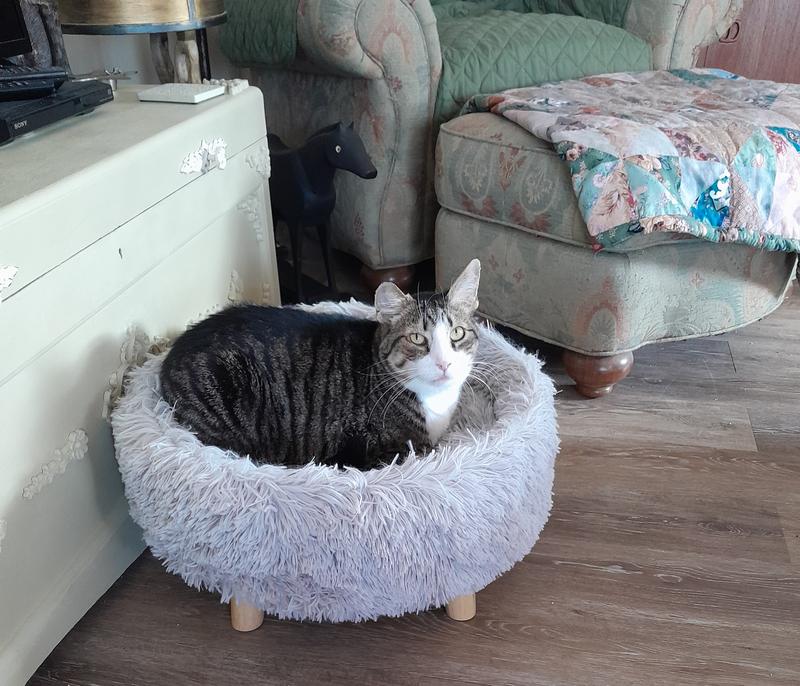 FRISCO Eyelash Fur Round Elevated Cat Bed, Ivory