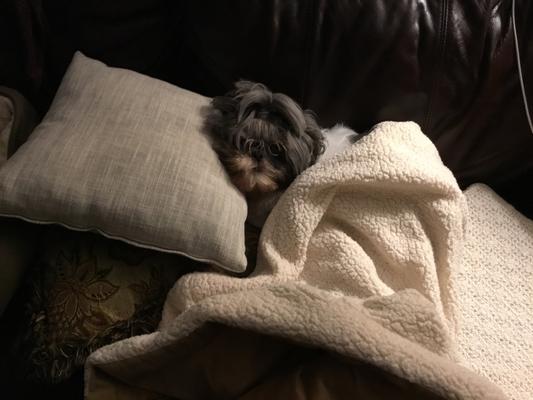 Coco Chanel