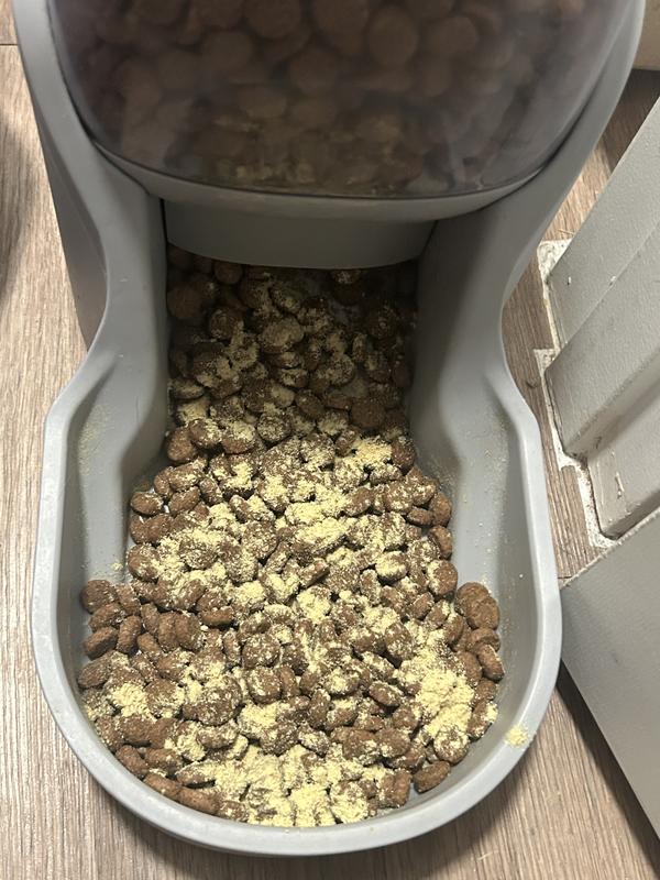 Powder in her kibble.