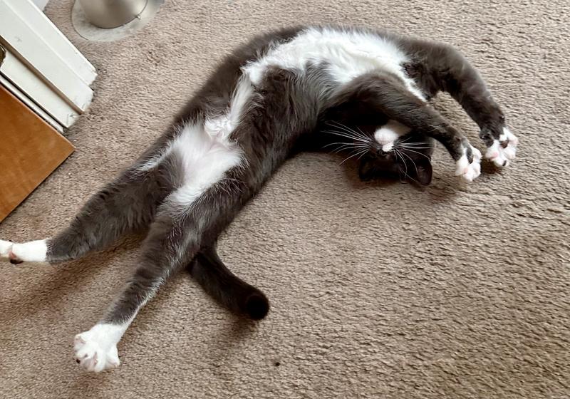 A very relaxed Katniss