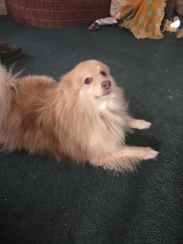 Ted not trying to rub it off