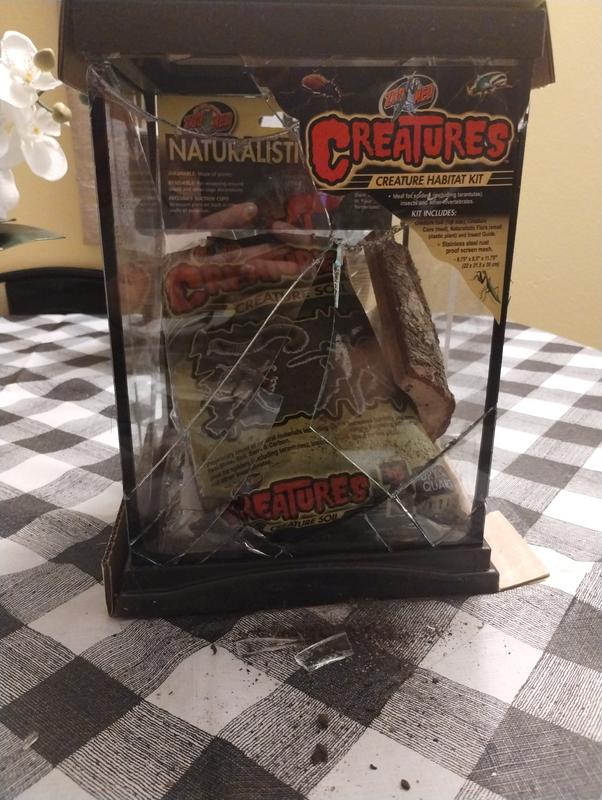 Zoo Med Creatures Roly Poly Kit Isopod Habitat Reptile Starter Kit