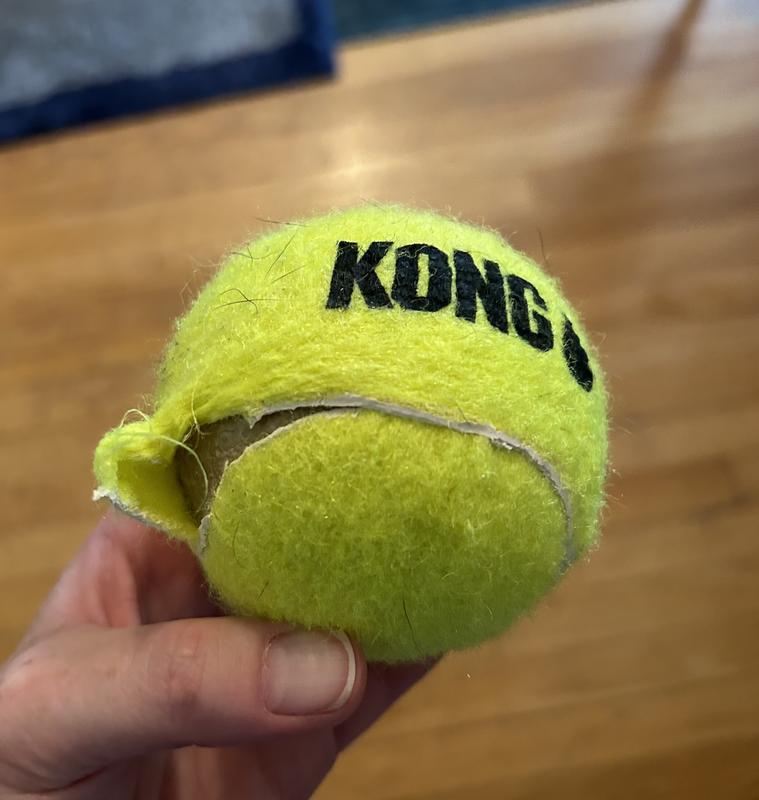 Chewy tennis outlet balls