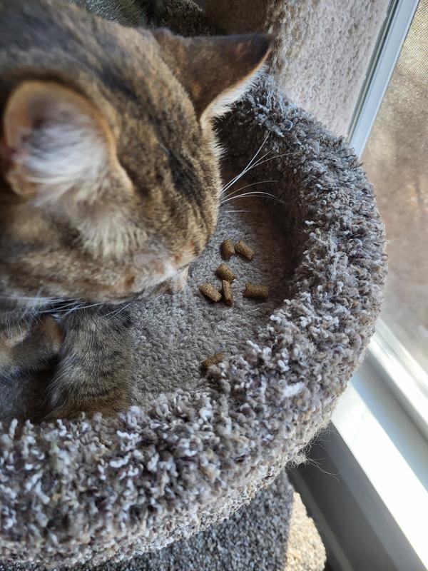 Spidey...did better with the vacuum