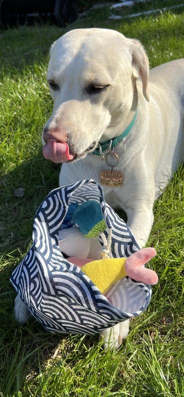 Who else loves Sushi?