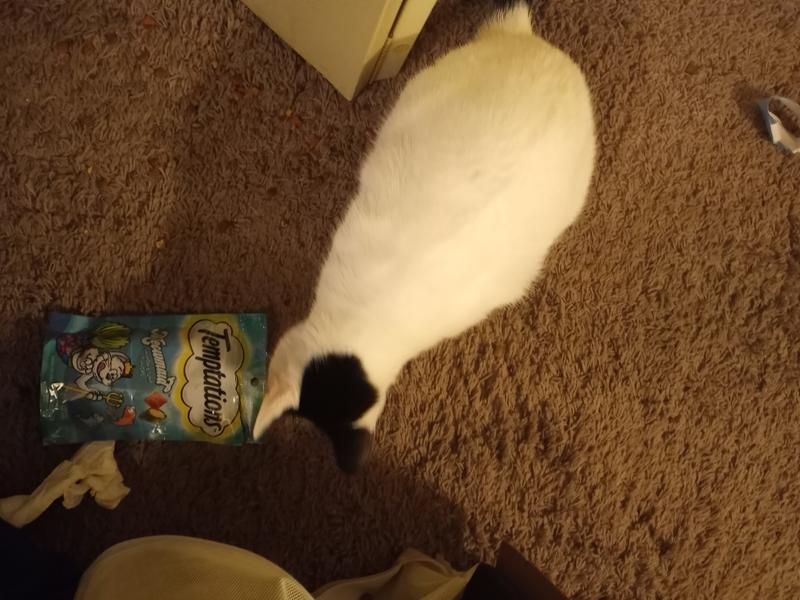 Bailey loves the taste