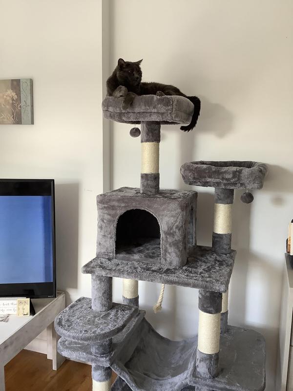 FRISCO 59-in Faux Fur Cat Tree & Condo, Dark Charcoal - Chewy.com