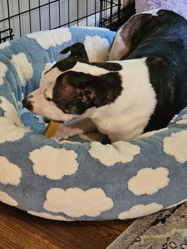 Mom, leave me alone and let me chew!