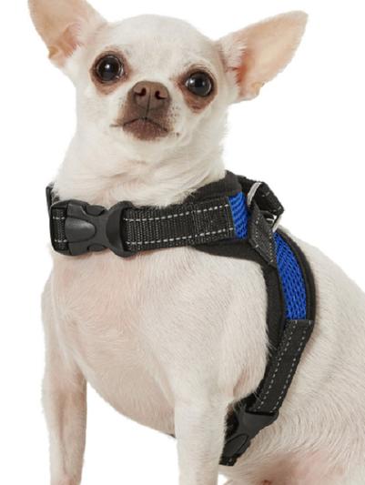 COPATCHY No Pull Reflective Adjustable Dog Harness Blue Small Chewy