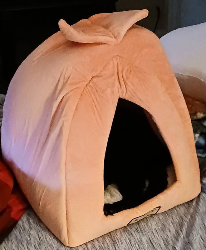 Cute color and design.