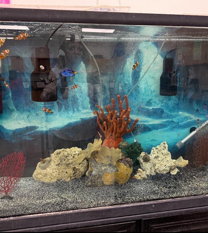 Filters I use these with