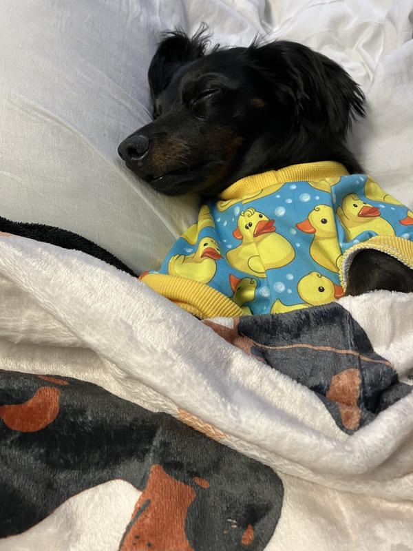 Out of Stock FABDOG Graphic Rubber Ducky Dog Pajamas, Multi