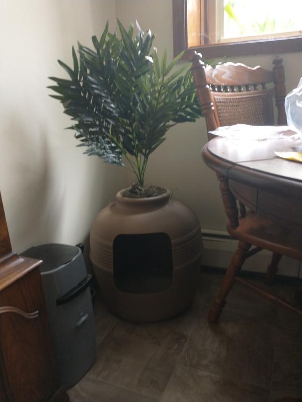 15+ Hidden Plant Litter Box