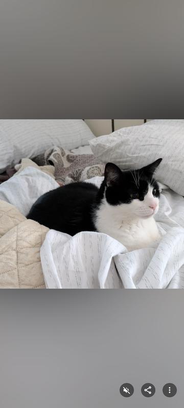 Happy and not hungry!