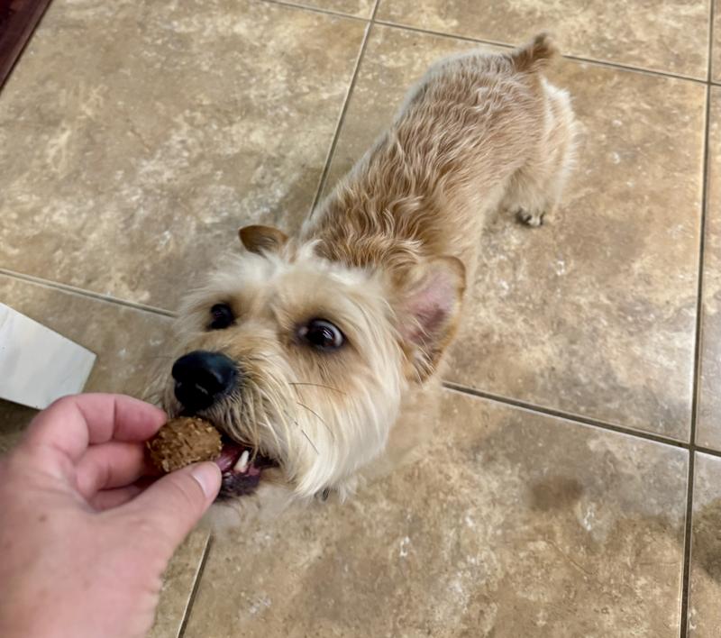 My 18lb terrier mix loves these.