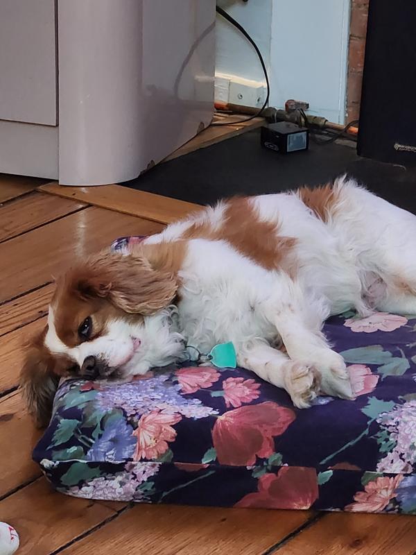 Jason sleeps peacefully knowing he will not miss anything