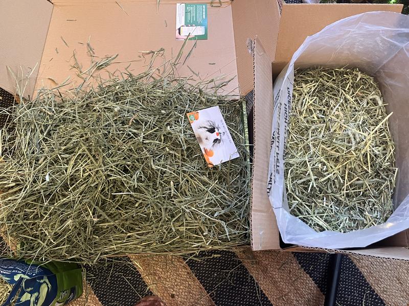 A closer look at the stark color contrast between the fresh green of the Small Pet timothy next to Oxbow's pale, stale timothy.