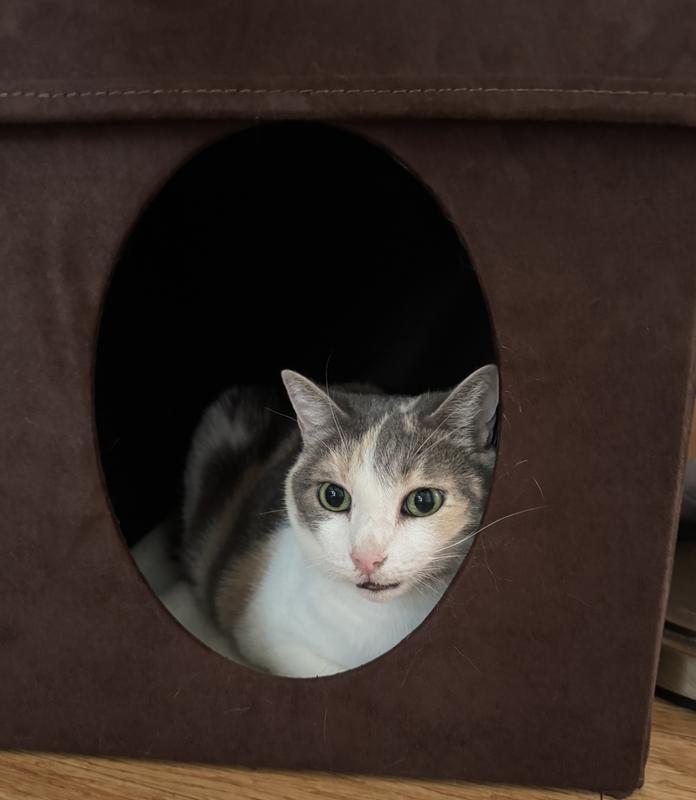 Checking out the cozy cubby