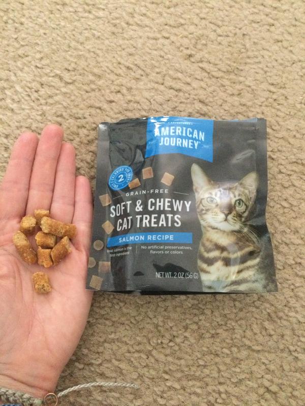 Chewy american journey outlet cat food