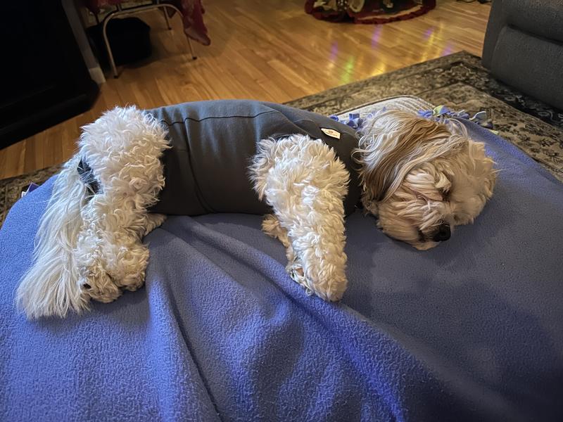 Much easier to sleep n