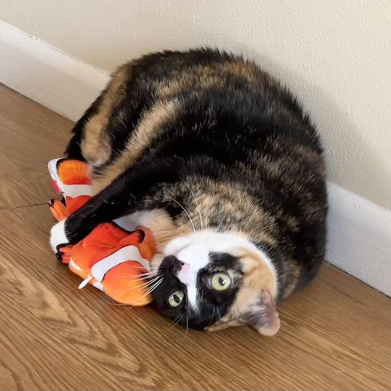 Basco loving her fishy toy.