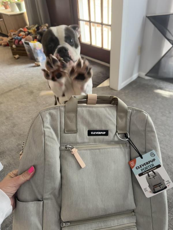 CLEVERPUP Porter Dog Gear Backpack, Heather Grey - Chewy.com
