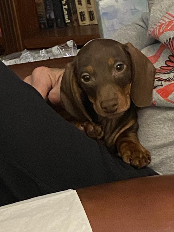 My baby