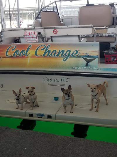 1/2 our pack on our boat at the lake