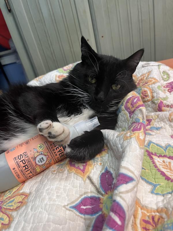 Hold my paw, I smell amazing.