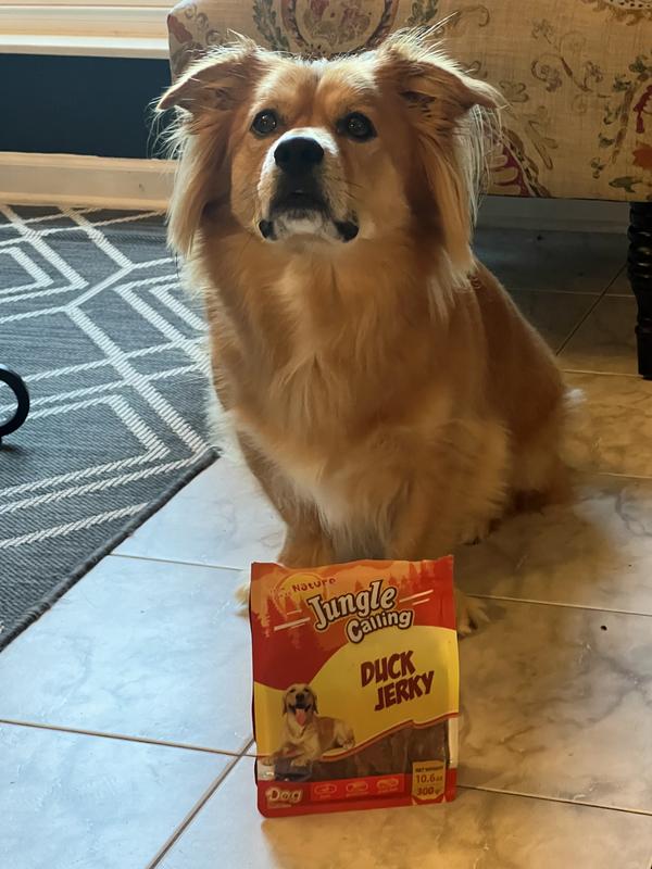 Jungle Calling Duck Jerkey gets his full approval!