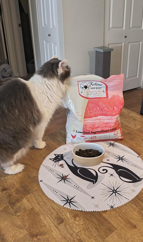 Spicey learning to open bag of Feline Caviar on her own