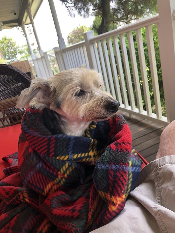 Sitting on the porch wrapped up in a blanket